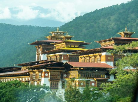 brown and black temple surrounded by green trees during daytime